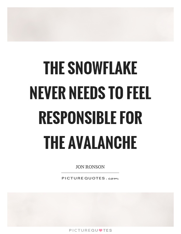 The snowflake never needs to feel responsible for the avalanche Picture Quote #1