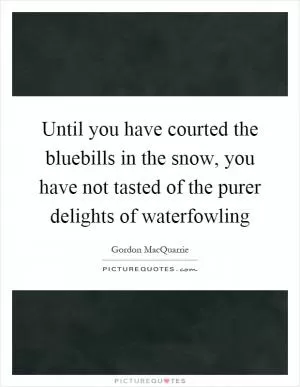 Until you have courted the bluebills in the snow, you have not tasted of the purer delights of waterfowling Picture Quote #1