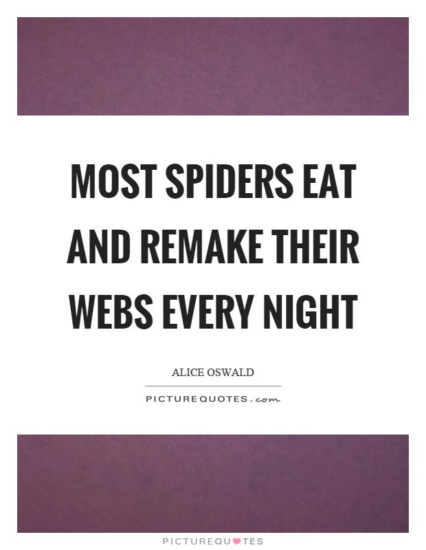 Most spiders eat and remake their webs every night Picture Quote #1