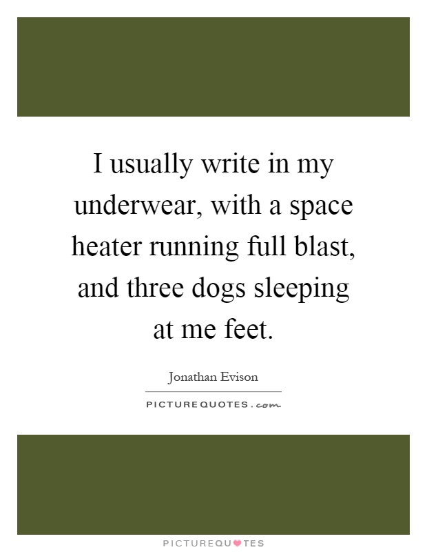 I usually write in my underwear, with a space heater running full blast, and three dogs sleeping at me feet Picture Quote #1