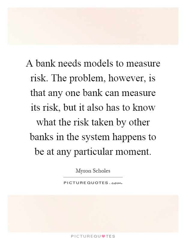 A bank needs models to measure risk. The problem, however, is that any one bank can measure its risk, but it also has to know what the risk taken by other banks in the system happens to be at any particular moment Picture Quote #1