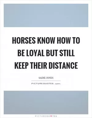 Horses know how to be loyal but still keep their distance Picture Quote #1