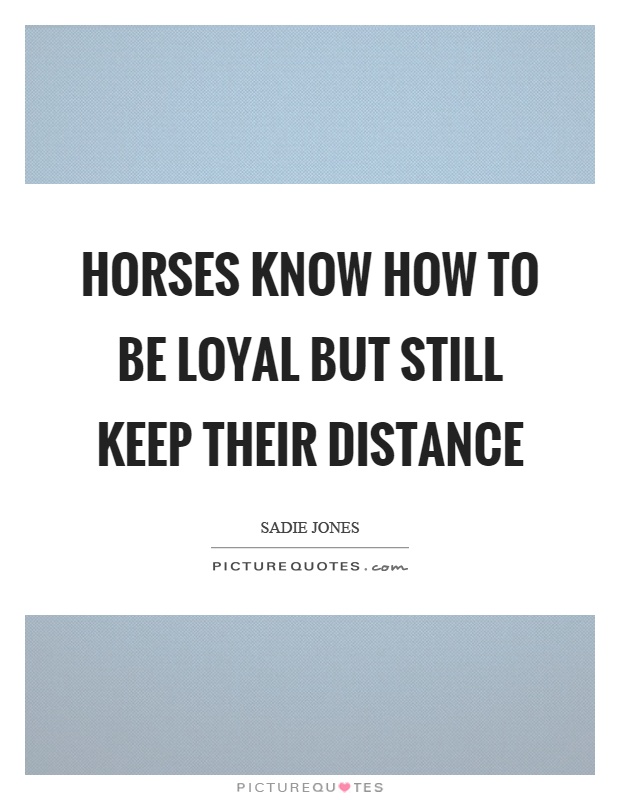Horses know how to be loyal but still keep their distance Picture Quote #1