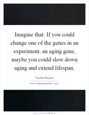 Imagine that: If you could change one of the genes in an experiment, an aging gene, maybe you could slow down aging and extend lifespan Picture Quote #1