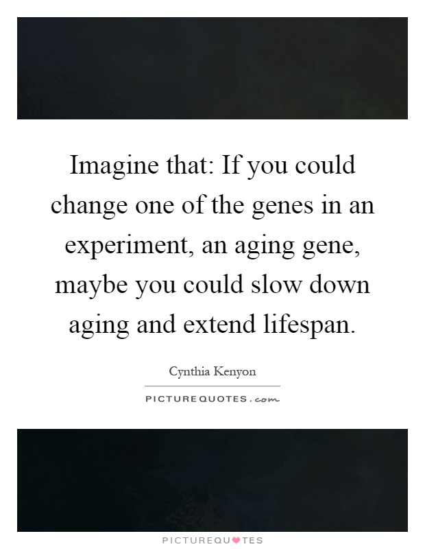 Imagine that: If you could change one of the genes in an experiment, an aging gene, maybe you could slow down aging and extend lifespan Picture Quote #1