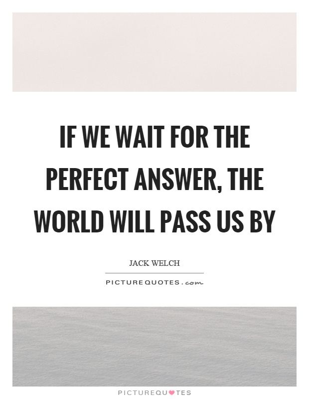 If we wait for the perfect answer, the world will pass us by Picture Quote #1