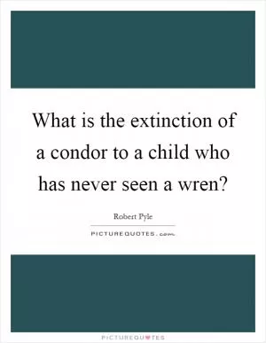 What is the extinction of a condor to a child who has never seen a wren? Picture Quote #1