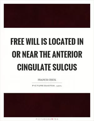 Free will is located in or near the anterior cingulate sulcus Picture Quote #1
