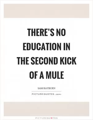 There’s no education in the second kick of a mule Picture Quote #1