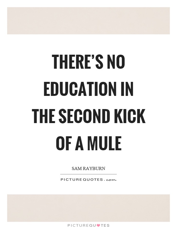 There's no education in the second kick of a mule Picture Quote #1
