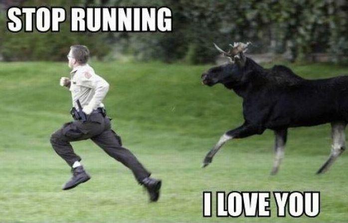 Stop running, I love you Picture Quote #1