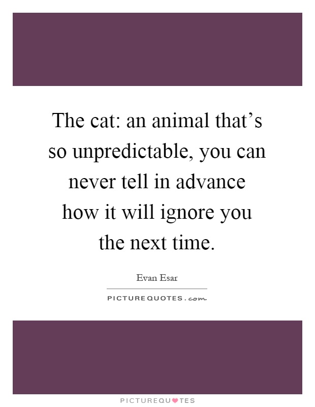 The cat: an animal that's so unpredictable, you can never tell in advance how it will ignore you the next time Picture Quote #1