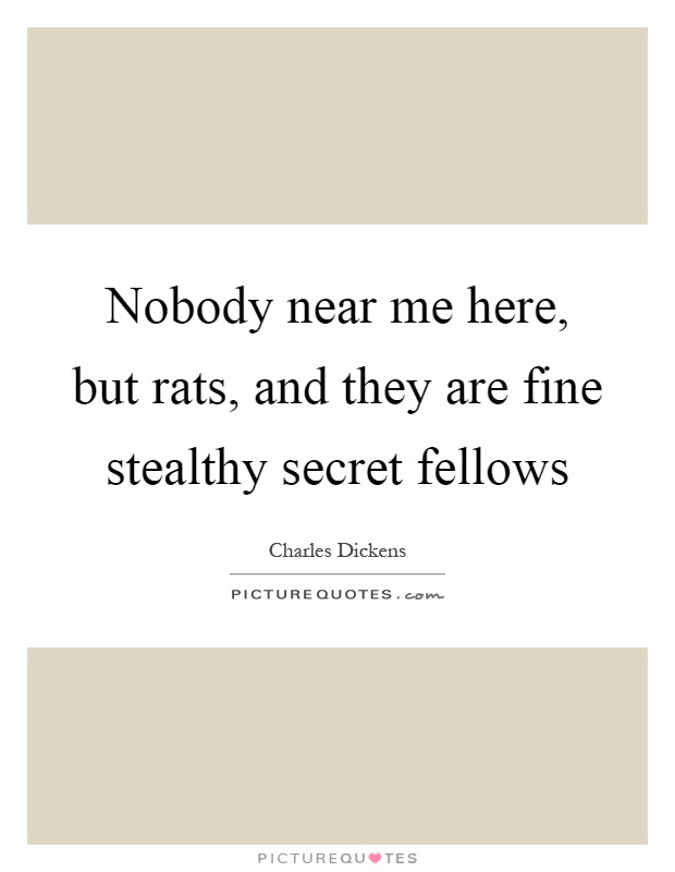 Nobody near me here, but rats, and they are fine stealthy secret fellows Picture Quote #1