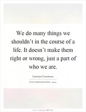We do many things we shouldn’t in the course of a life. It doesn’t make them right or wrong, just a part of who we are Picture Quote #1