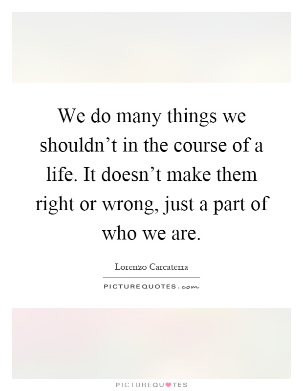 We do many things we shouldn't in the course of a life. It doesn't make them right or wrong, just a part of who we are Picture Quote #1
