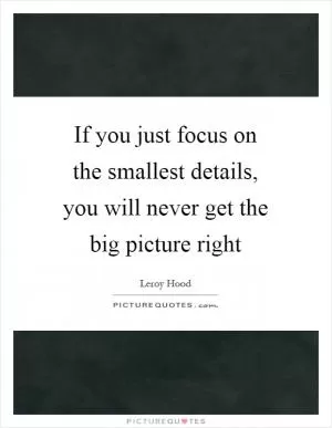 If you just focus on the smallest details, you will never get the big picture right Picture Quote #1