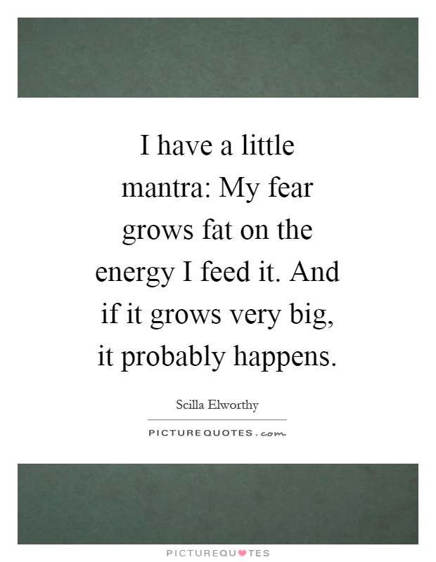 I have a little mantra: My fear grows fat on the energy I feed it. And if it grows very big, it probably happens Picture Quote #1
