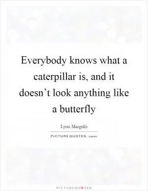 Everybody knows what a caterpillar is, and it doesn’t look anything like a butterfly Picture Quote #1