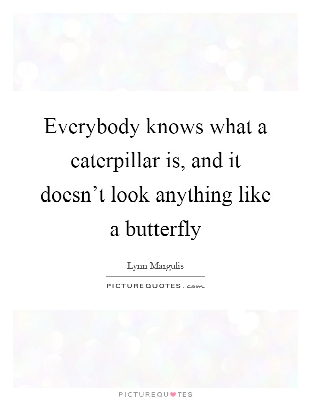 Everybody knows what a caterpillar is, and it doesn't look anything like a butterfly Picture Quote #1
