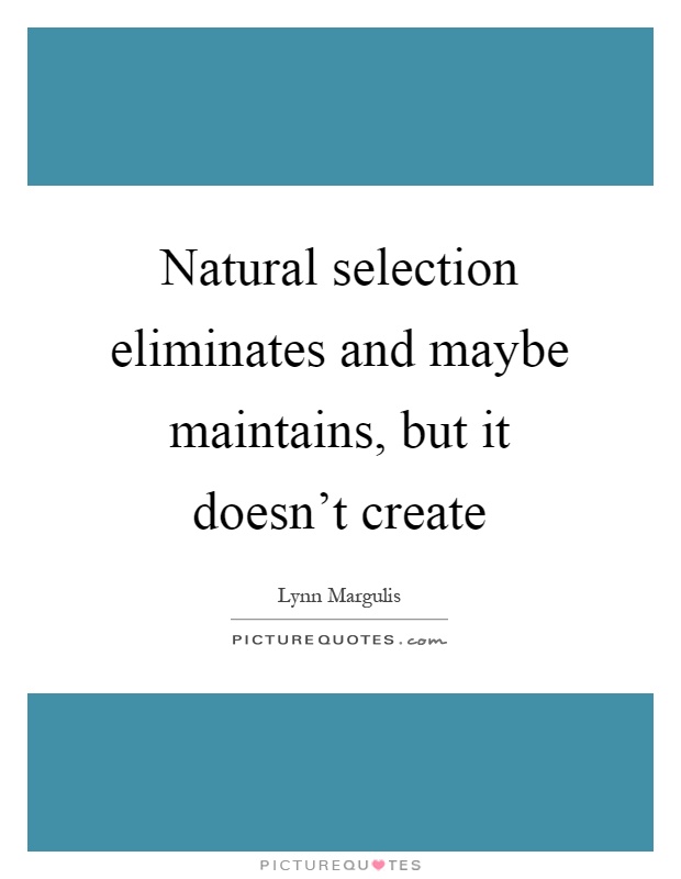 Natural selection eliminates and maybe maintains, but it doesn't create Picture Quote #1