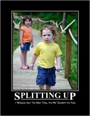 Splitting up. I would say “It’s not you, it’s me”, except it’s you Picture Quote #1
