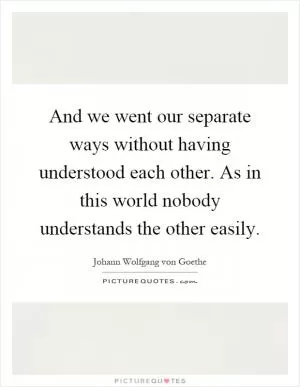 And we went our separate ways without having understood each other. As in this world nobody understands the other easily Picture Quote #1