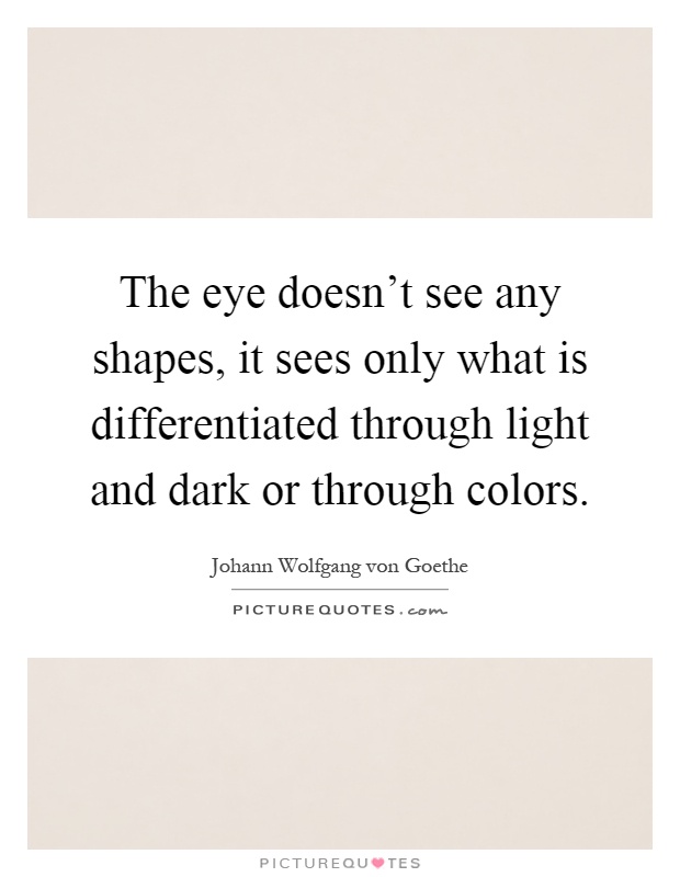 The eye doesn't see any shapes, it sees only what is differentiated through light and dark or through colors Picture Quote #1