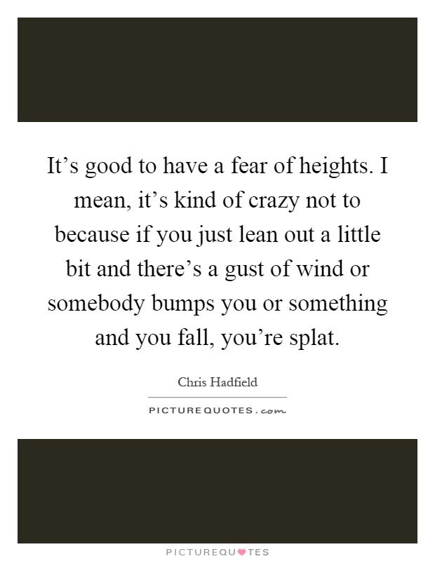 It's good to have a fear of heights. I mean, it's kind of crazy not to because if you just lean out a little bit and there's a gust of wind or somebody bumps you or something and you fall, you're splat Picture Quote #1