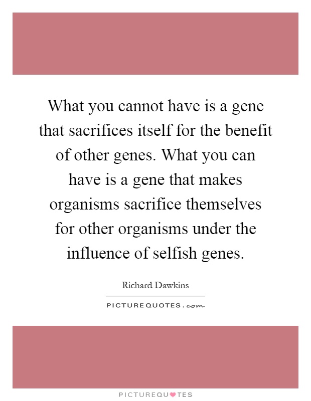 What you cannot have is a gene that sacrifices itself for the benefit of other genes. What you can have is a gene that makes organisms sacrifice themselves for other organisms under the influence of selfish genes Picture Quote #1