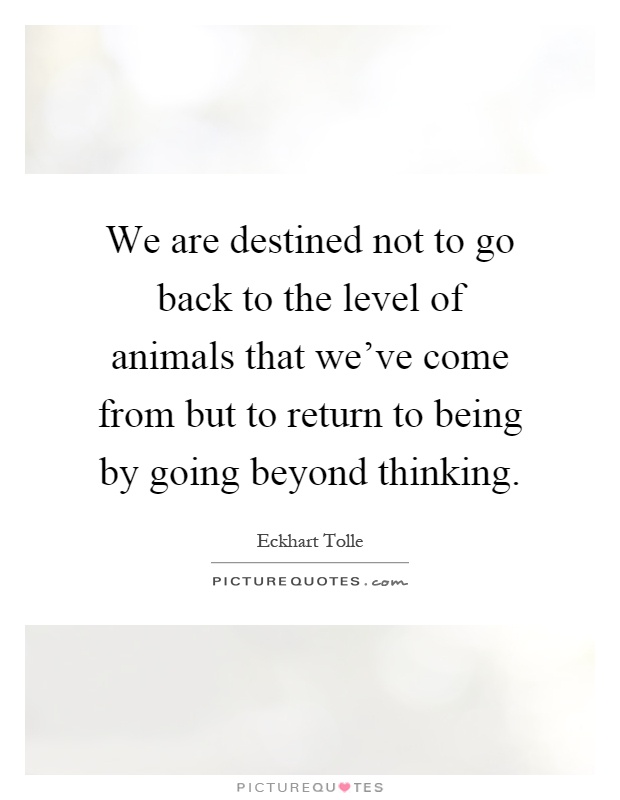 We are destined not to go back to the level of animals that we've come from but to return to being by going beyond thinking Picture Quote #1