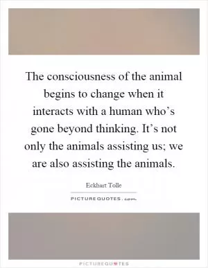 The consciousness of the animal begins to change when it interacts with a human who’s gone beyond thinking. It’s not only the animals assisting us; we are also assisting the animals Picture Quote #1