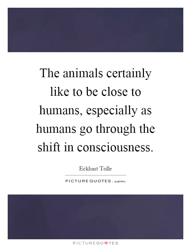 The animals certainly like to be close to humans, especially as humans go through the shift in consciousness Picture Quote #1
