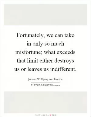 Fortunately, we can take in only so much misfortune; what exceeds that limit either destroys us or leaves us indifferent Picture Quote #1