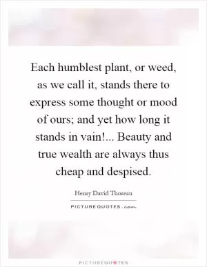 Each humblest plant, or weed, as we call it, stands there to express some thought or mood of ours; and yet how long it stands in vain!... Beauty and true wealth are always thus cheap and despised Picture Quote #1