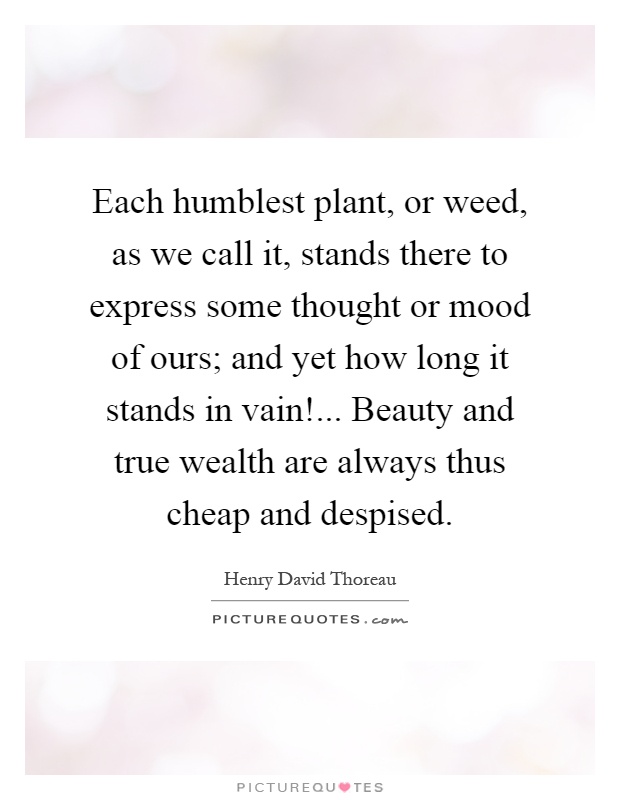 Each humblest plant, or weed, as we call it, stands there to express some thought or mood of ours; and yet how long it stands in vain!... Beauty and true wealth are always thus cheap and despised Picture Quote #1