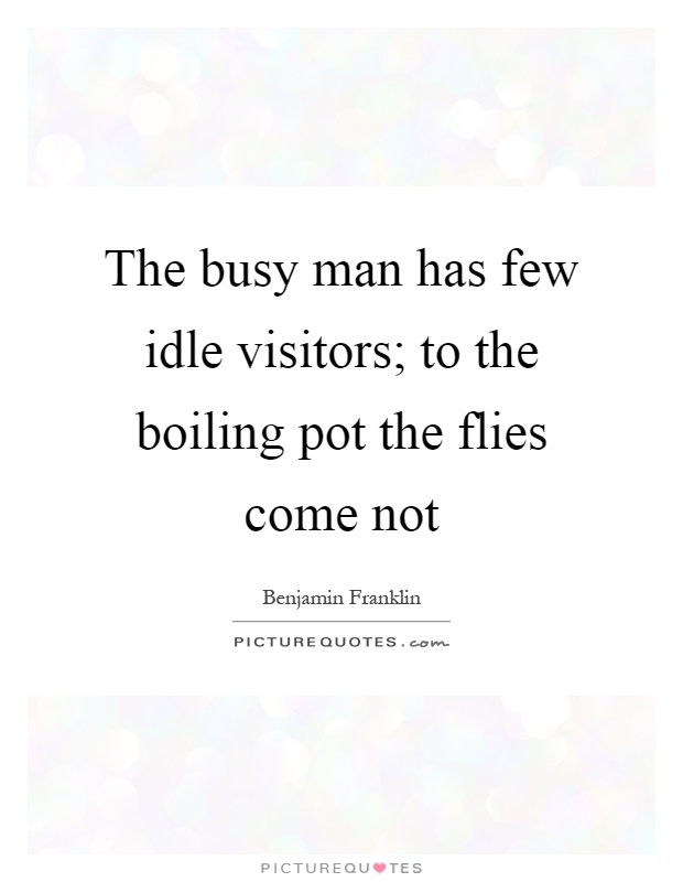 The busy man has few idle visitors; to the boiling pot the flies come not Picture Quote #1