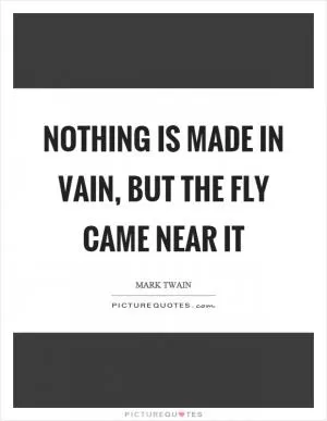 Nothing is made in vain, but the fly came near it Picture Quote #1