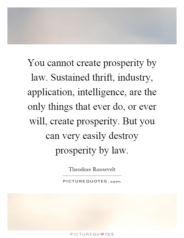 You cannot create prosperity by law. Sustained thrift, industry, application, intelligence, are the only things that ever do, or ever will, create prosperity. But you can very easily destroy prosperity by law Picture Quote #1