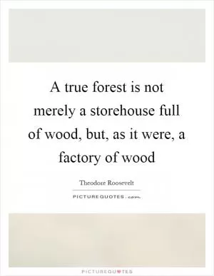 A true forest is not merely a storehouse full of wood, but, as it were, a factory of wood Picture Quote #1