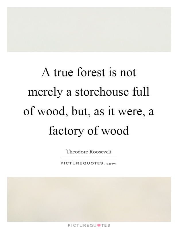A true forest is not merely a storehouse full of wood, but, as it were, a factory of wood Picture Quote #1