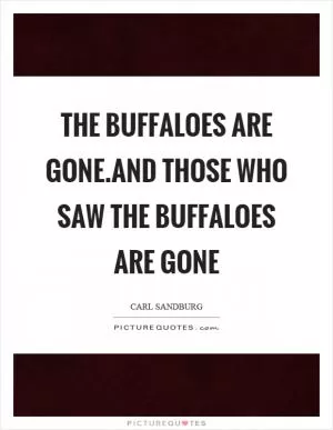 The buffaloes are gone.And those who saw the buffaloes are gone Picture Quote #1