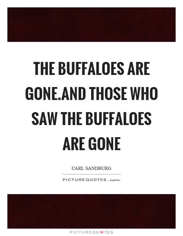 The buffaloes are gone.And those who saw the buffaloes are gone Picture Quote #1