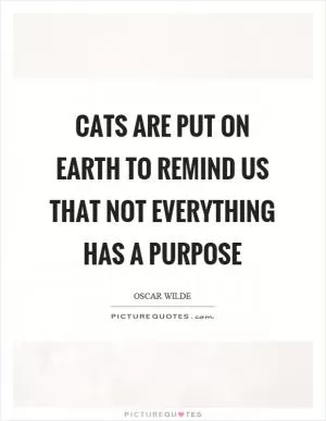 Cats are put on earth to remind us that not everything has a purpose Picture Quote #1