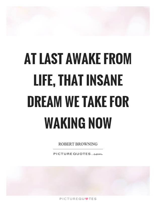 At last awake from life, that insane dream we take for waking now Picture Quote #1
