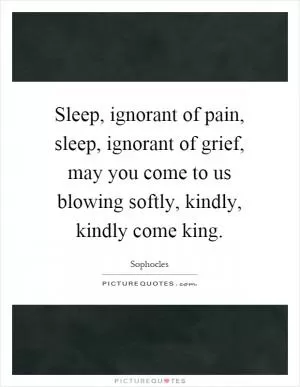 Sleep, ignorant of pain, sleep, ignorant of grief, may you come to us blowing softly, kindly, kindly come king Picture Quote #1