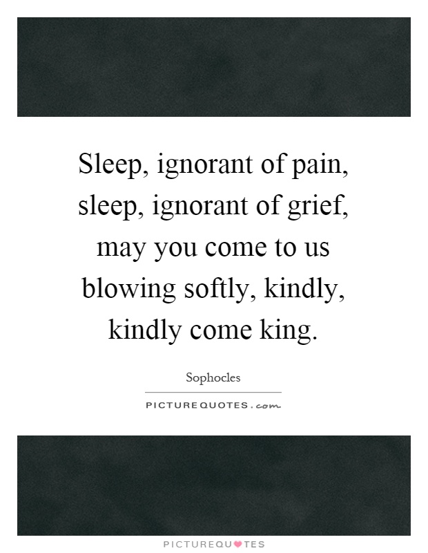Sleep, ignorant of pain, sleep, ignorant of grief, may you come to us blowing softly, kindly, kindly come king Picture Quote #1