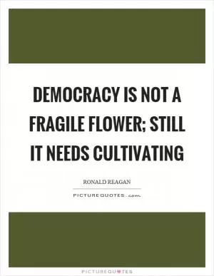 Democracy is not a fragile flower; still it needs cultivating Picture Quote #1
