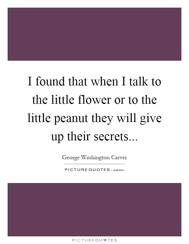 I found that when I talk to the little flower or to the little peanut they will give up their secrets Picture Quote #1