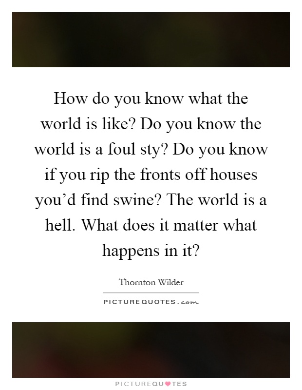 How do you know what the world is like? Do you know the world is a foul sty? Do you know if you rip the fronts off houses you'd find swine? The world is a hell. What does it matter what happens in it? Picture Quote #1