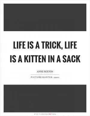 Life is a trick, life is a kitten in a sack Picture Quote #1